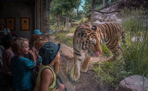 are there any upcoming discount days at the zoo utah